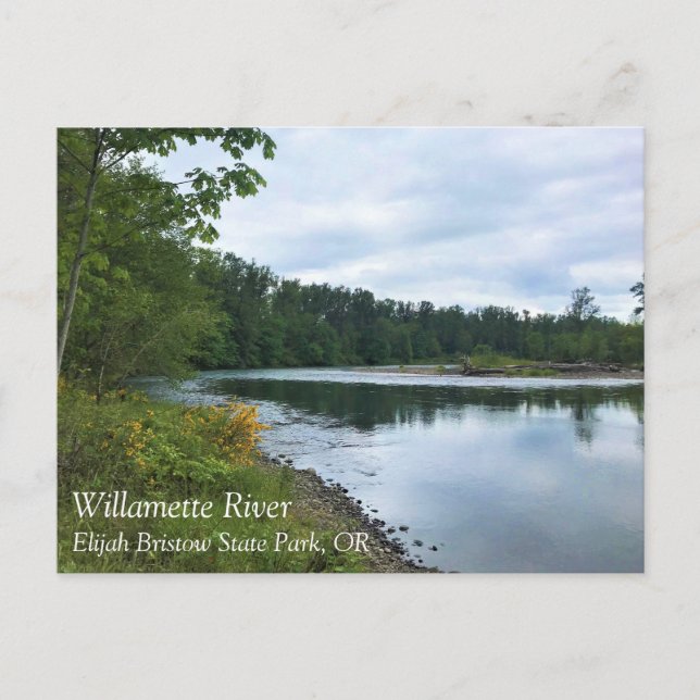 Carte Postale Willamette River, Elijah Bristow State Park OU Po (Devant)