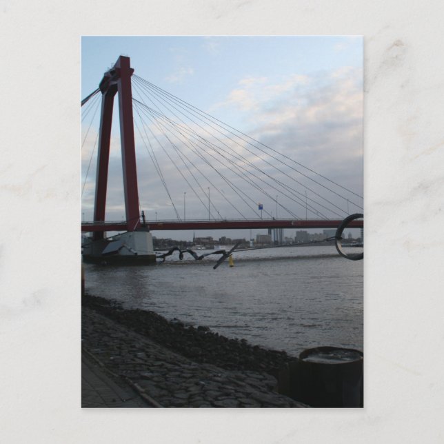 Carte Postale Willemsbrug, Rotterdam (Devant)