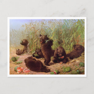 Carte Postale William H. Beard, Les ours dans le champ de pastèq
