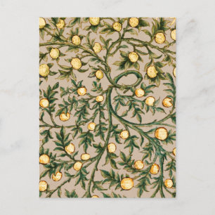 Carte Postale William Morris Fruit Floral Jardin Fleur Classique