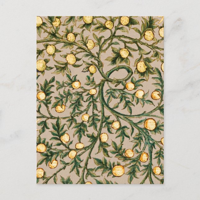Carte Postale William Morris Fruit Floral Jardin Fleur Classique (Devant)