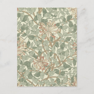 Carte Postale William Morris Honeysuckle Vert Floral