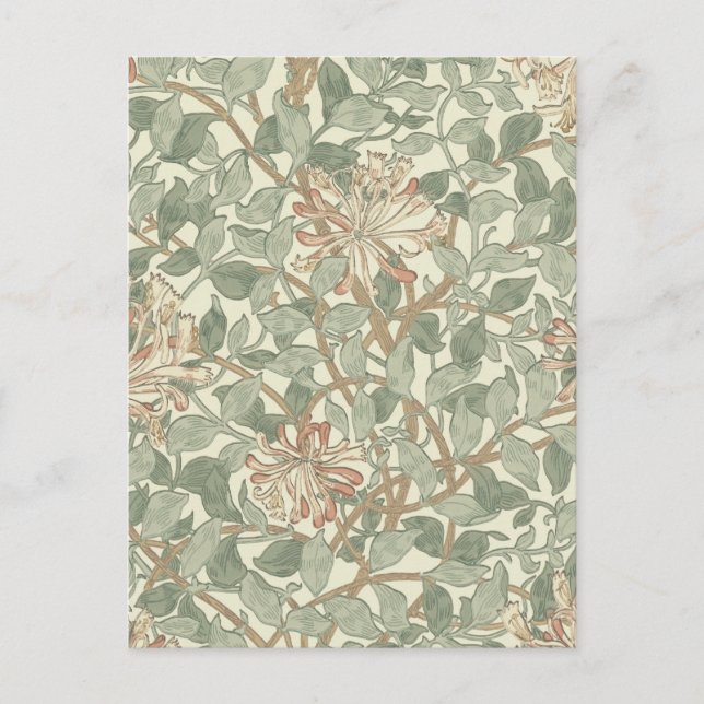 Carte Postale William Morris Honeysuckle Vert Floral (Devant)