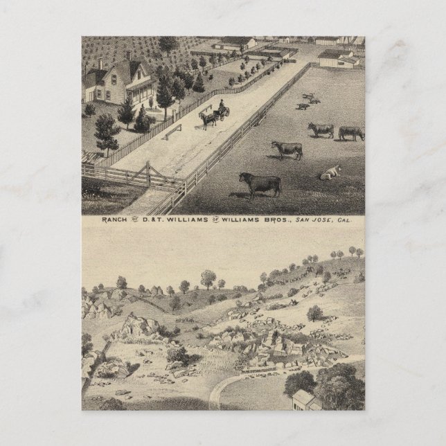 Carte Postale Williams Ranch, carrière de Goodrich (Devant)