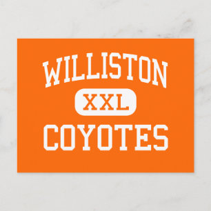 Carte Postale Williston - Coyotes - High - Williston
