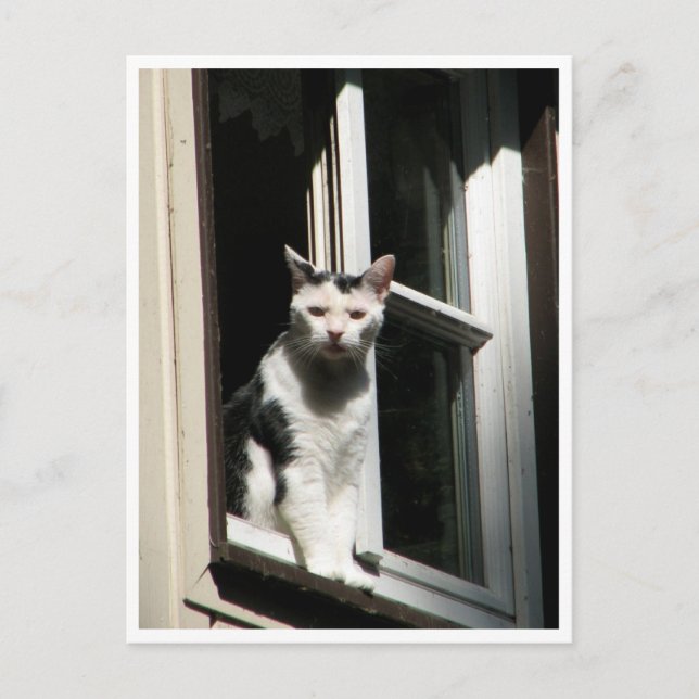 Carte Postale Willkommen im Cafè Rilke (Devant)