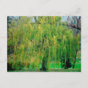 Carte postale Willow