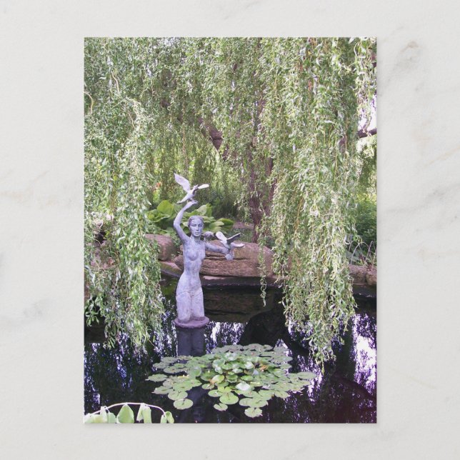 Carte Postale Willow (Devant)