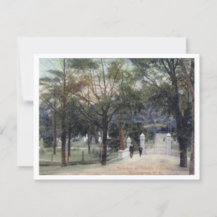 Carte Postale Wilmington NC Oakdale Cemetery, années 1910