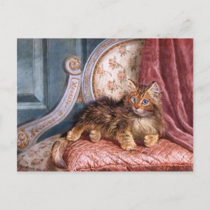 Carte Postale Wilson Hepple : Kitten Brown sur fauteuil