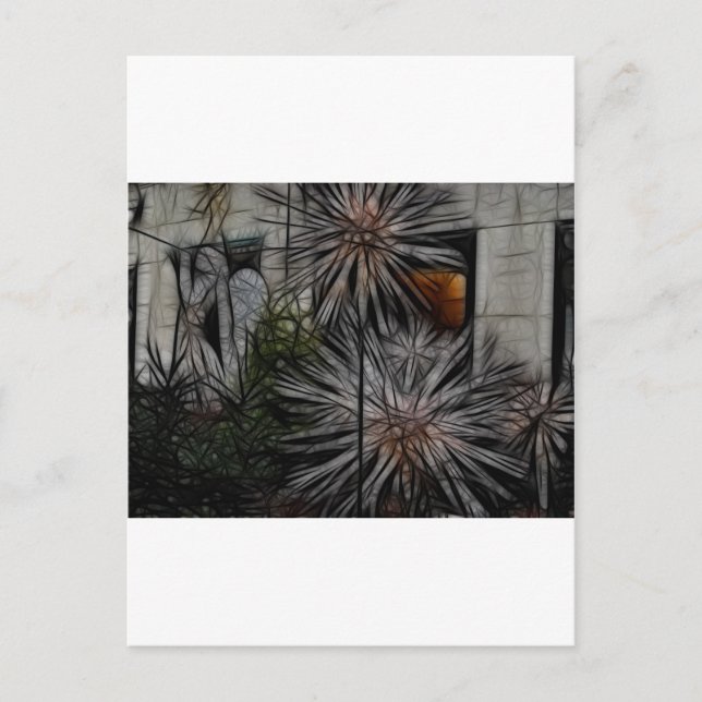 Carte Postale Wilted Honey (Devant)