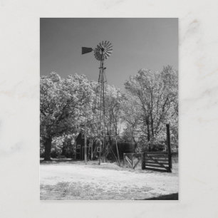 Carte Postale Windmill