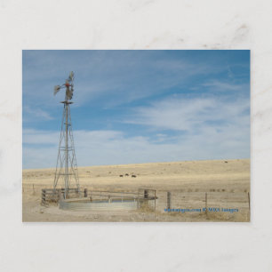Carte Postale Windmill and cattle under western Kansas Skies