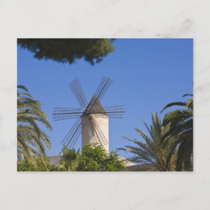 Carte Postale Windmill, Palma, Majorque, Espagne