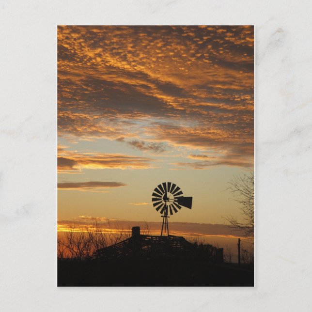 Carte Postale Windmill sunset (Devant)