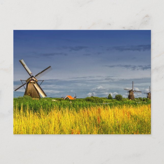 Carte Postale Windmills en Kinderdijk, Hollande, Pays-Bas (Devant)
