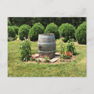 Carte Postale Wine Barrel Garden Decor, Château Morrisette, VA