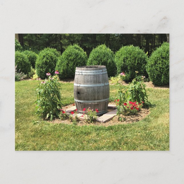 Carte Postale Wine Barrel Garden Decor, Château Morrisette, VA (Devant)