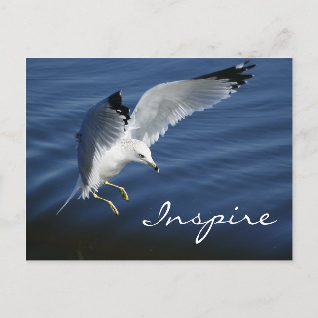 Carte postale Wings Over Pennsylvania (Devant)