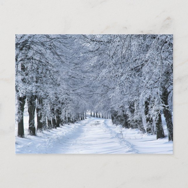Carte Postale Winter alley (Devant)