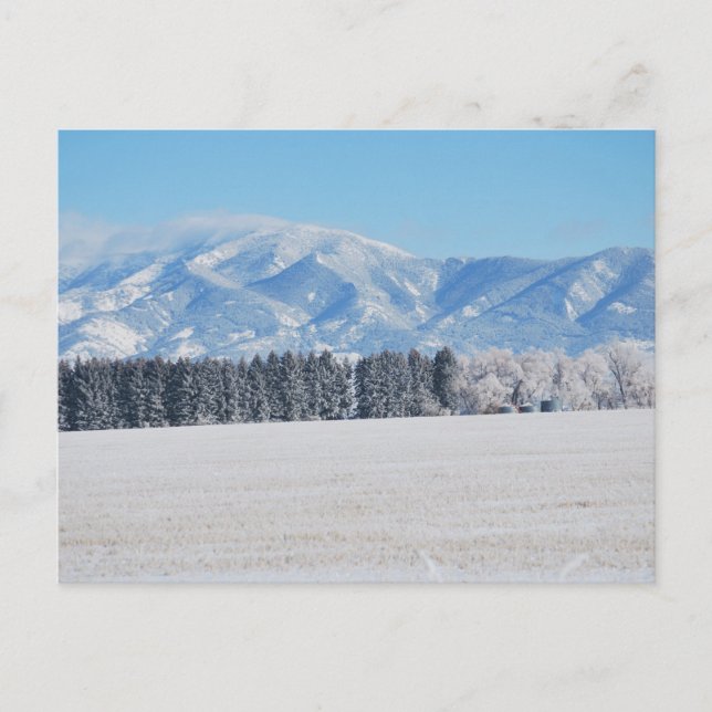 Carte Postale Winter Landscape of Trees, Snow and Mountains (Devant)