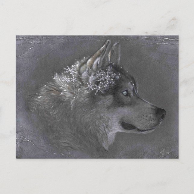 Carte Postale Winter Maker (Devant)