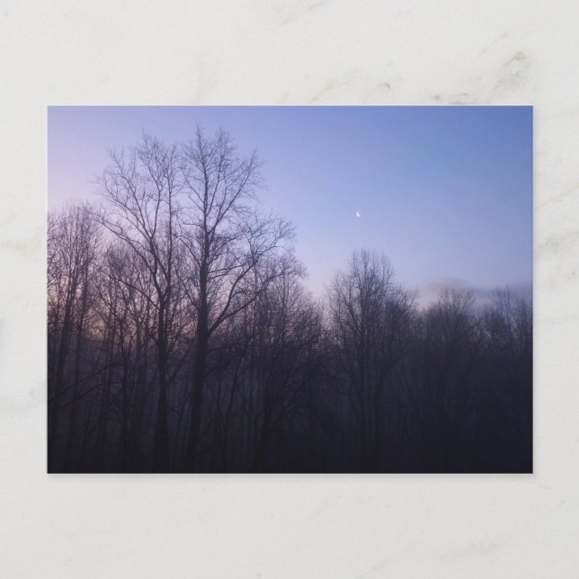 Carte Postale Winter Moon Matin Paysage Photographie (Devant)