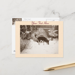 Carte Postale Winter snow scene with cute black and tan dog
