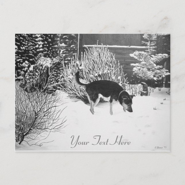 Carte Postale Winter snow scene with cute black and tan dog (Devant)