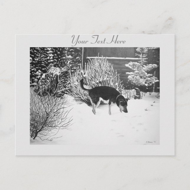 Carte Postale Winter snow scene with cute black and tan dog (Devant)