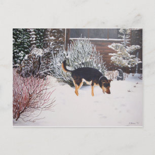 Carte Postale Winter snow scene with cute black and tan dog