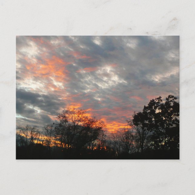 Carte Postale Winter Sunset Nature Paysage Photographie (Devant)