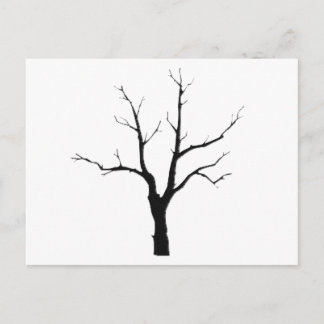 Carte Postale Winter Tree Black and White Set