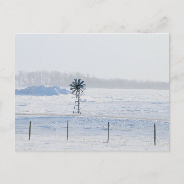 Carte Postale Winter Windmill (Devant)