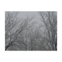 Carte postale Winter Wonderland