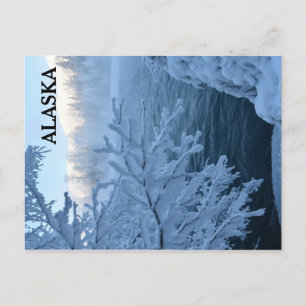 Carte Postale Winter Wonderland