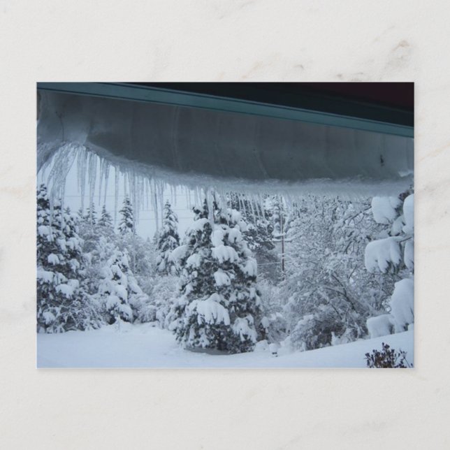 Carte postale Winter Wonderland (Devant)