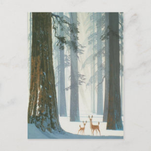 Carte Postale Winter Wonderland