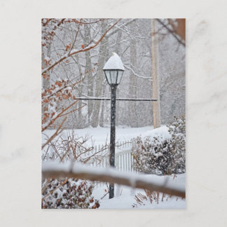 Carte Postale Winter Wonderland - Lampe Post