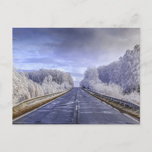 Carte Postale Winter Wonderland Travel Photo (Devant)