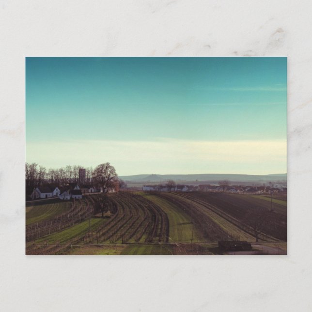 Carte postale "Wintercold" (Devant)