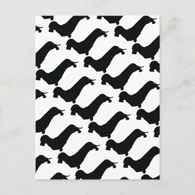 Carte Postale Wire Hair Dachshund (Devant)