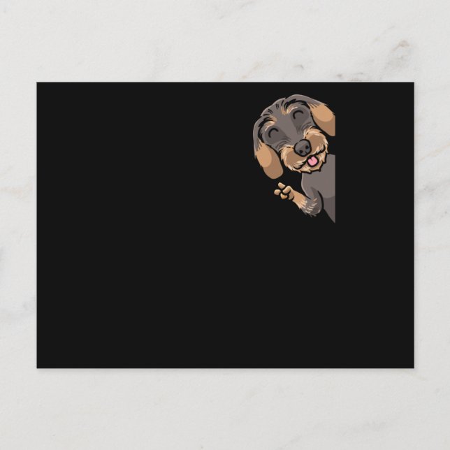Carte Postale Wire-Haired Dachshund Dog (Devant)