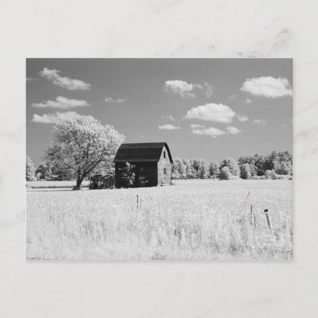 Carte Postale Wisconsin Barn Photo Reprint (Devant)
