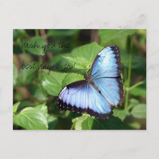 Carte Postale Wish you the best day ever!