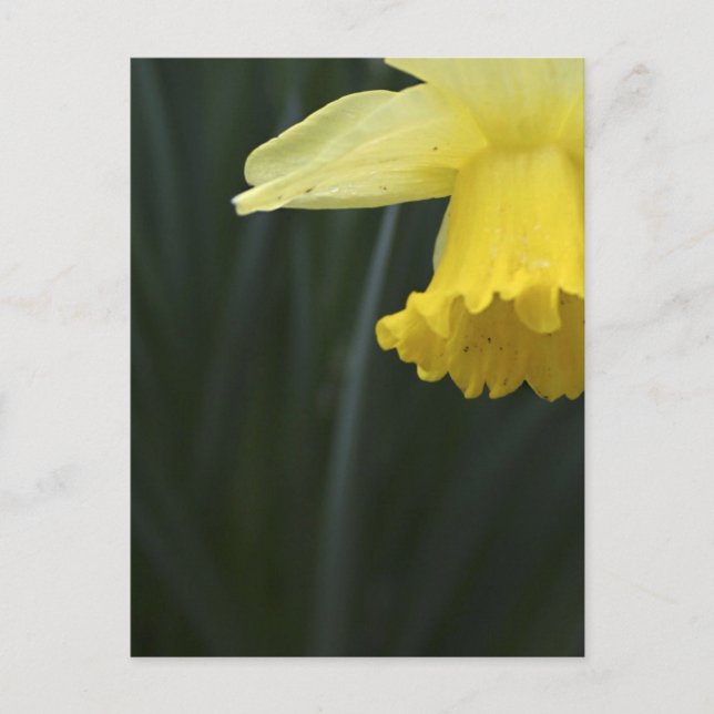 Carte Postale Wishing for Warming Postcard (Devant)