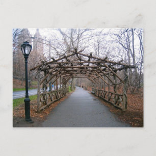 Carte Postale Wisteria Pergola New York City Central Park NYC
