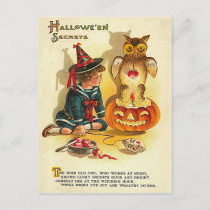 Carte Postale Witch Owl Jack-o'-lantern Citrouille