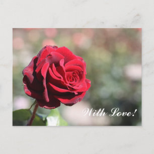 Carte Postale With Love Postcard