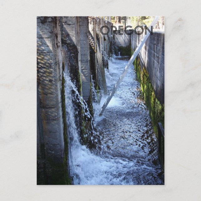 Carte Postale Wizards Fall (Devant)